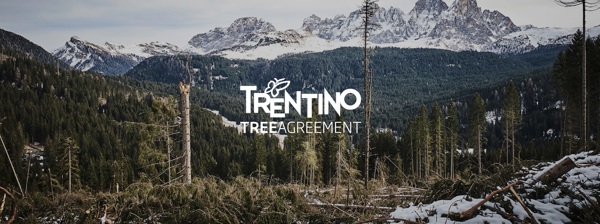 trentino